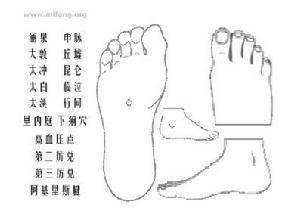 第三厉兑穴_百度百科