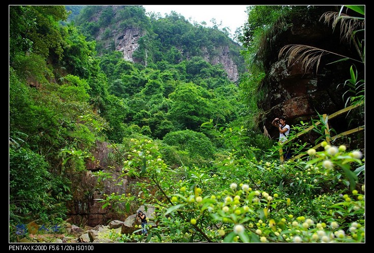 龙潭国家森林公园