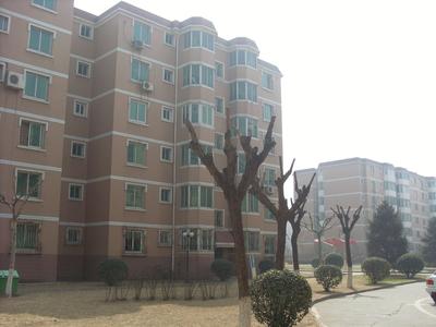 武夷花园水仙园