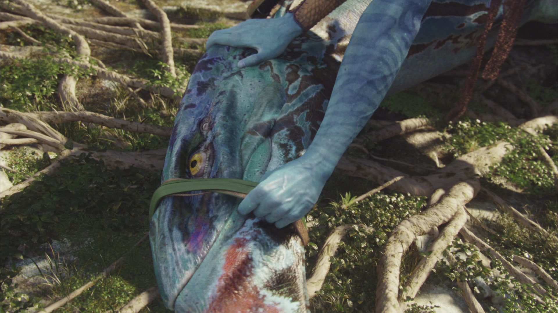  p>《阿凡达》 i>(avatar) /i>是一部由 a target="_blank" href="