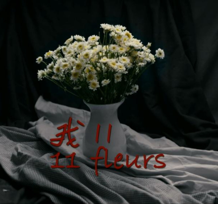 我11_百度百科
