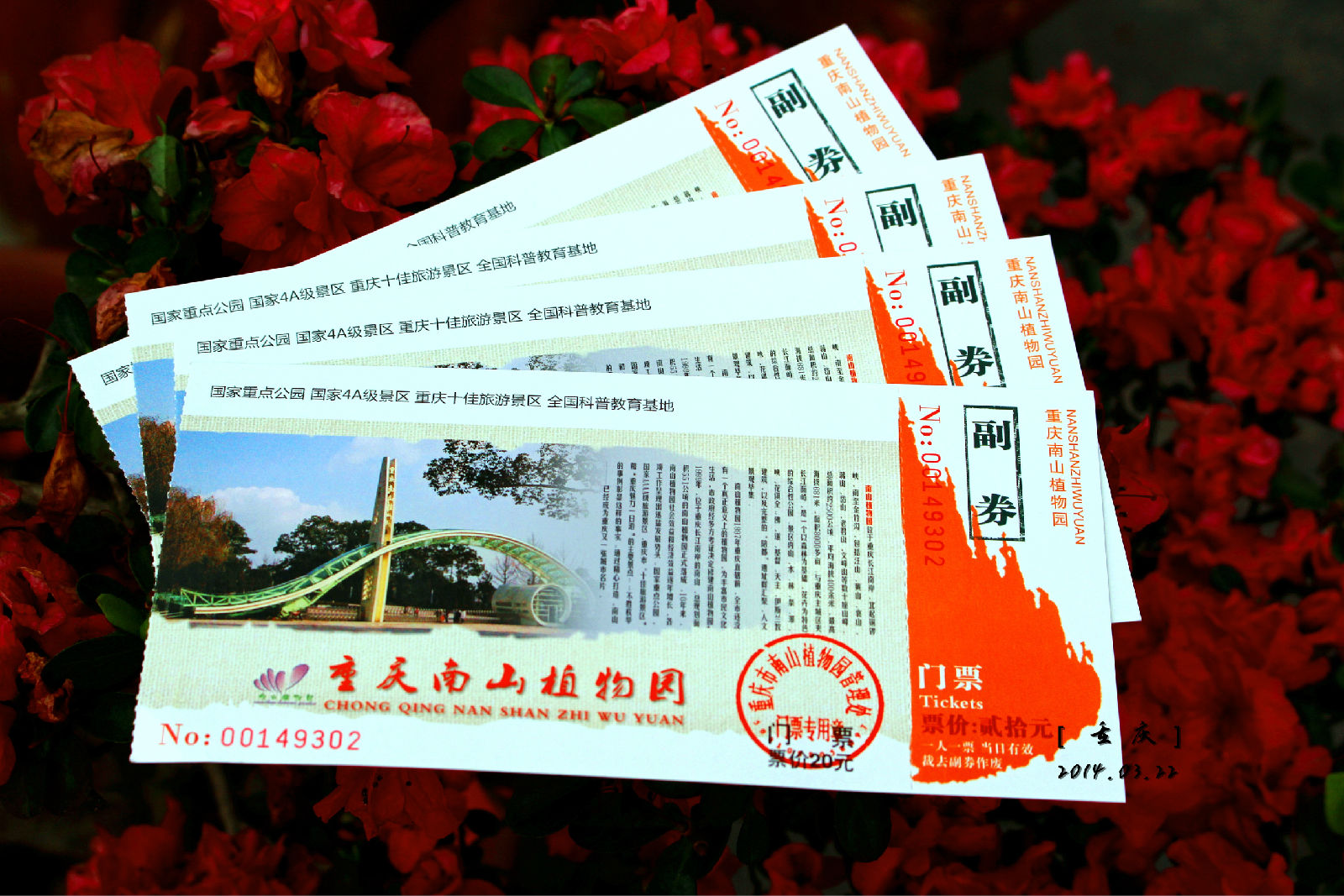 重庆市南山植物园