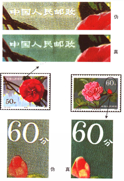 云南山茶花（1979年发行的特种邮票）_百度百科