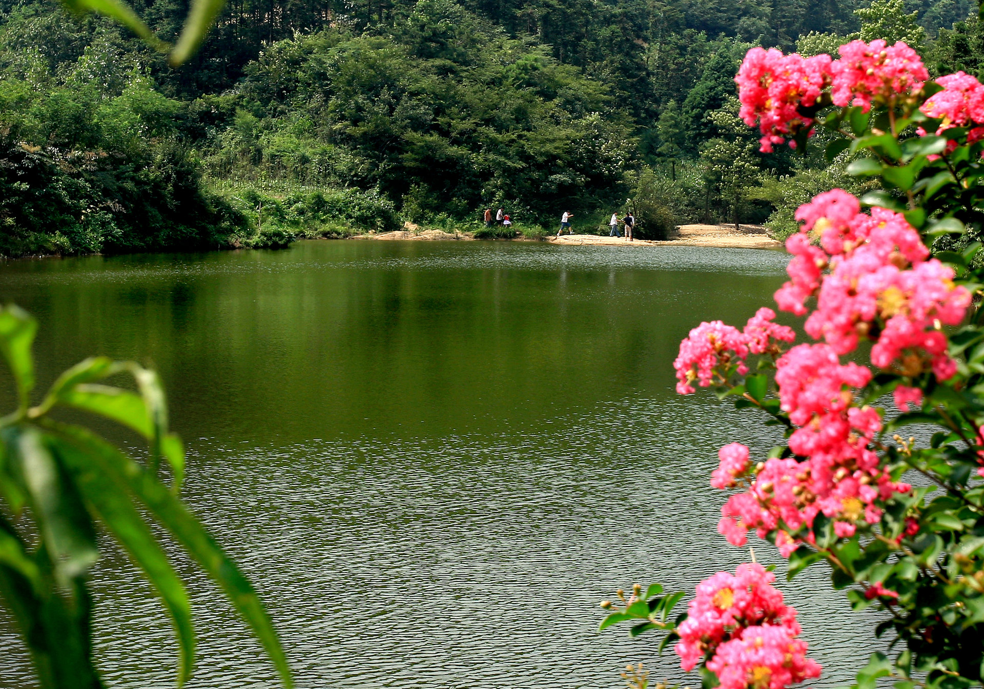  p data-id="gnx685s08r">河南鸡公山桃花寨景区地处 a target="