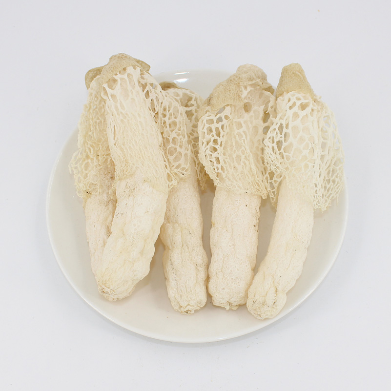 ex pers) fisch)又名竹笙,竹参,常见并可供食用