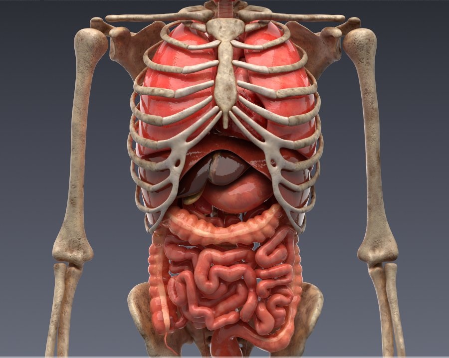  p>直肠横襞称houston瓣或直肠皱襞,是直肠管反折的粘液线,也是直肠