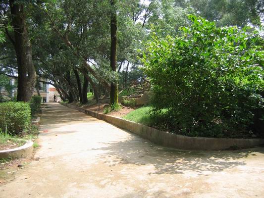 灵山县旧州中学