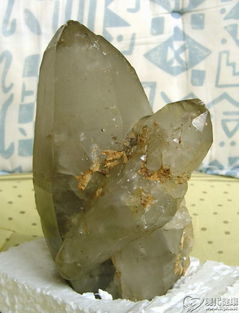  p> span class="ref" data-ctrid="sxvfkkeoh4ml">"海藻",本品为