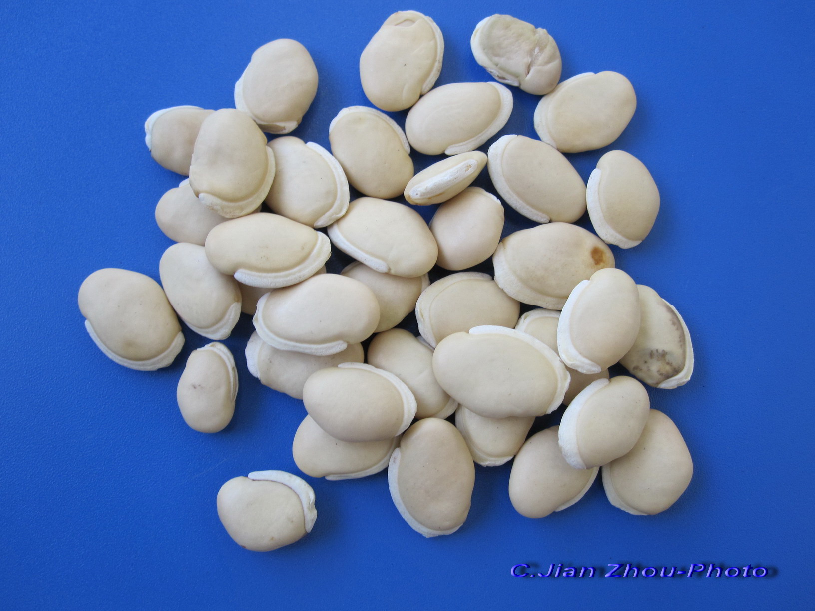  p>白扁豆花为豆科植物扁豆,7～8月间采收未完全开放的花,晒干或阴干.