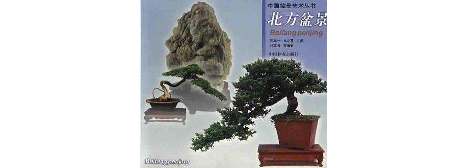  p>《北方盆景》,1999年中国林业出版社出版的图书,作者是马文其. /p>