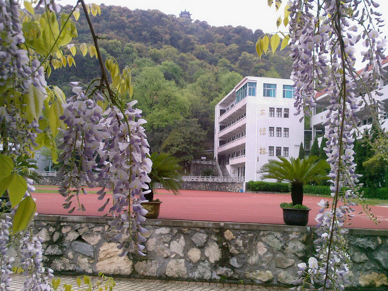 浙江师范大学附属泽国高级中学