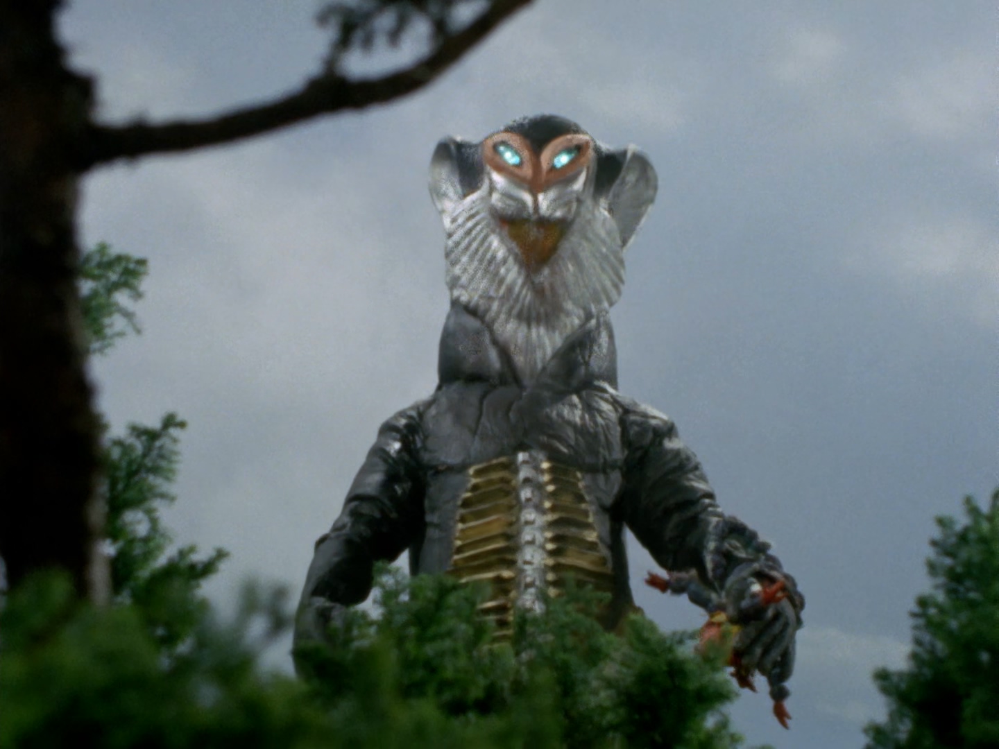 美菲拉斯星人第二代