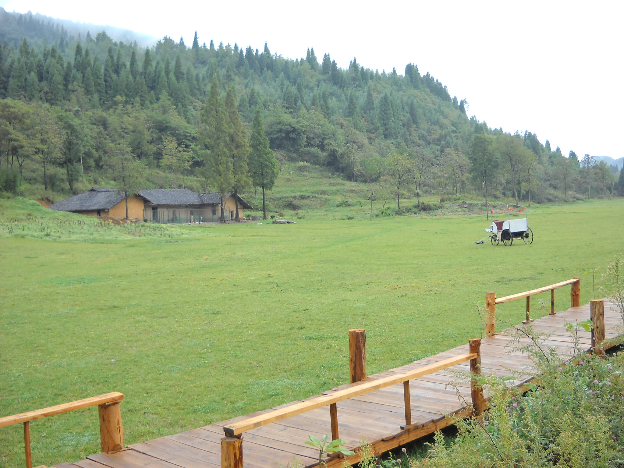 武陵山国家森林公园