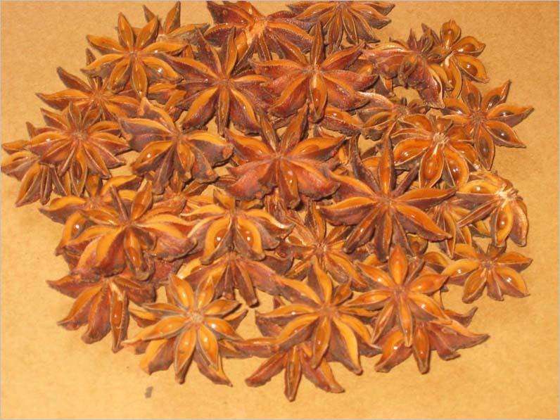  p>水八角属(学名:gratiola l), a target="_blank" href="/item/玄参