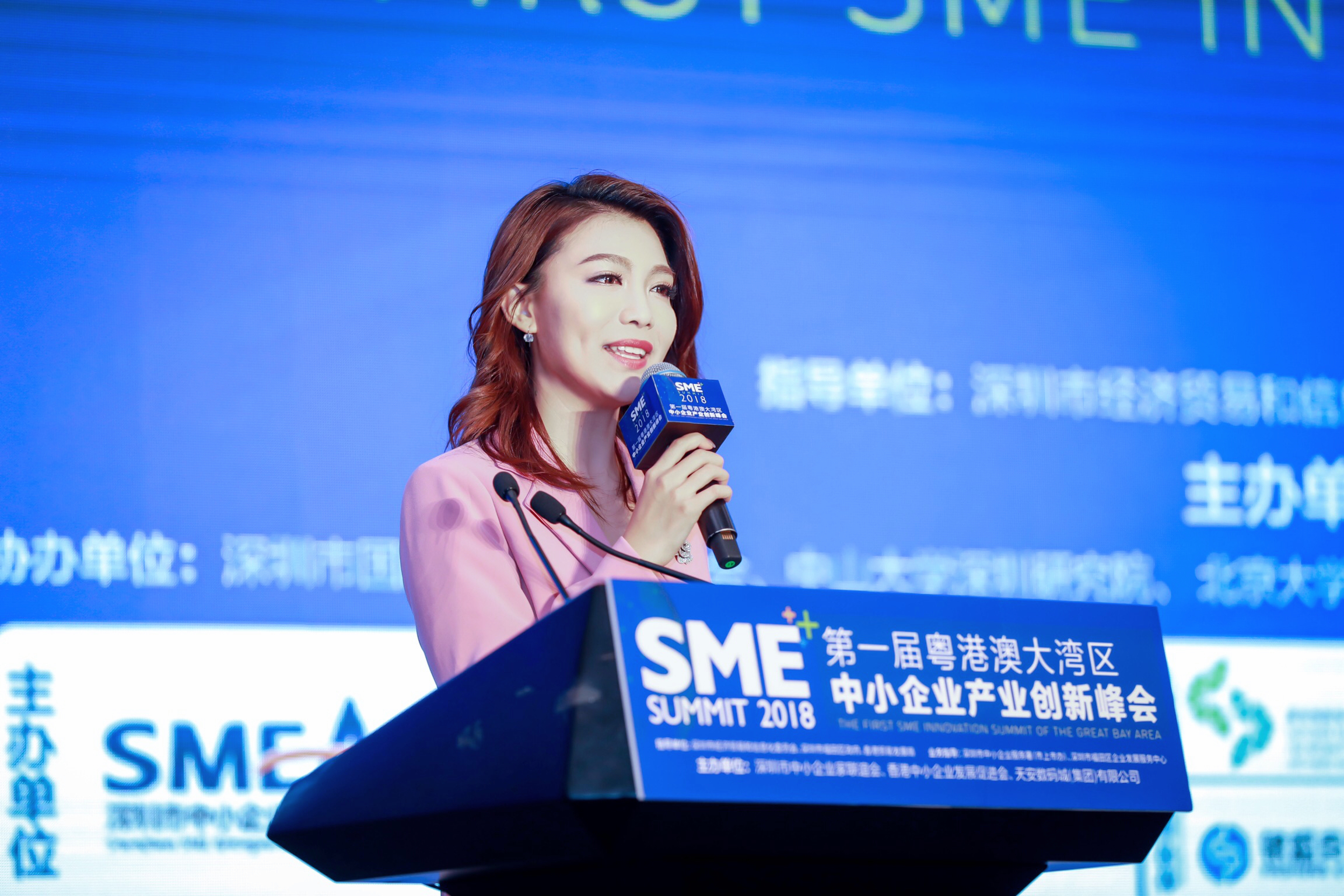  p>孙艺修,女,汉族,深圳卫视主持人. /p>