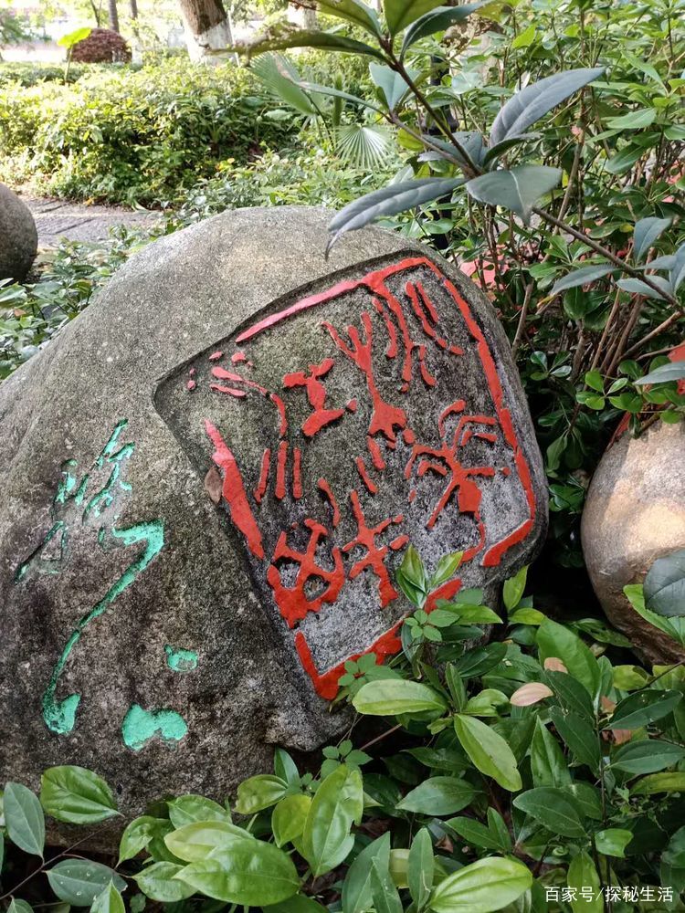隐藏在草丛里的文化_百科TA说