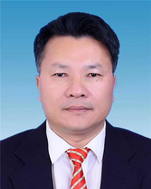 id="uqzo36fdip2n">现任广东省阳江市阳西县人民政府党组成员,副县 