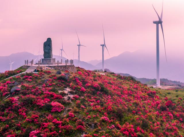  p data-id="t1i4fiiywn8k">八卦脑景区,位于赣州市石城县高田镇新坪