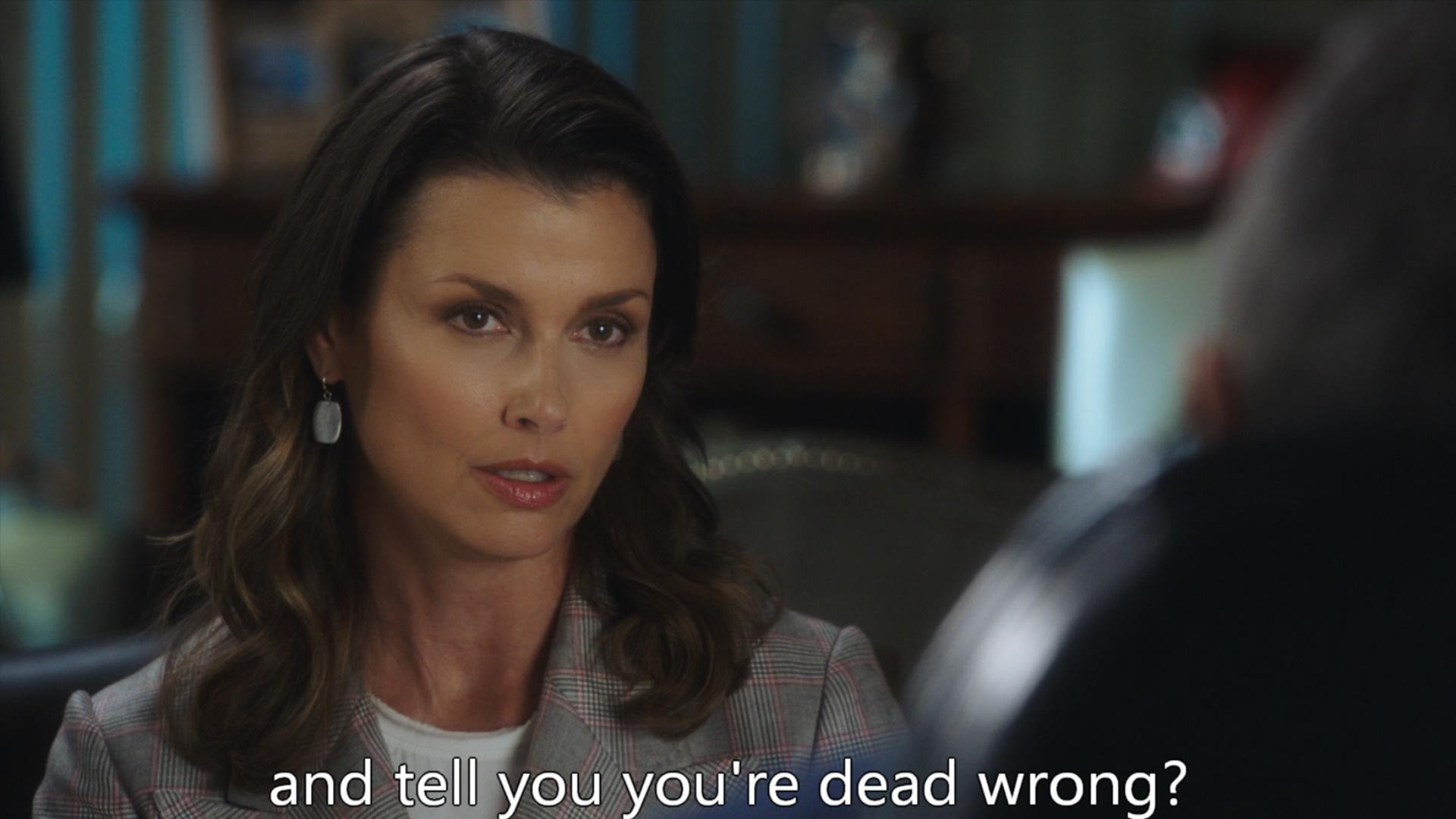 警察世家第十季