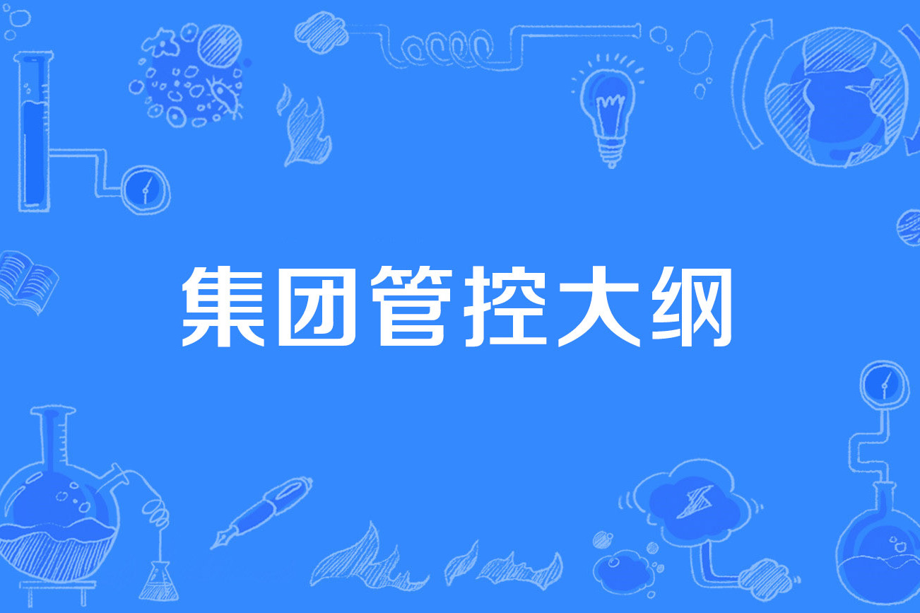 集团管控大纲