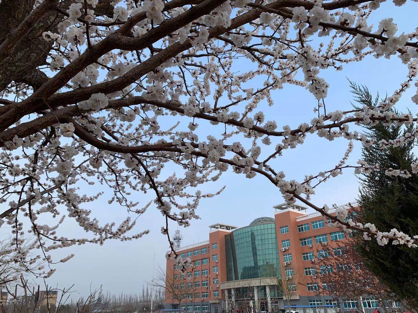 辽中第二高级中学