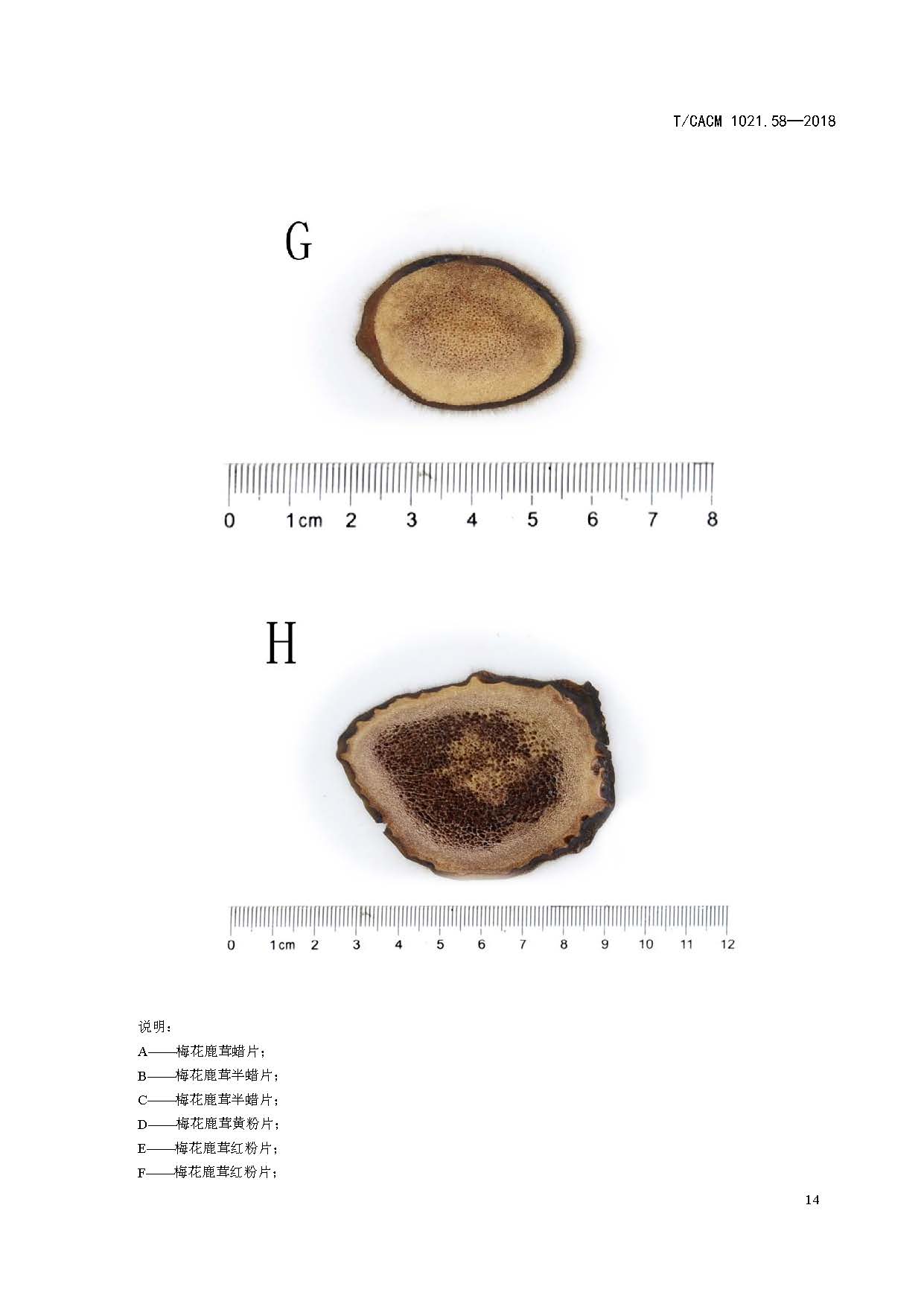  p>《中药材商品规格等级—鹿茸》(t/cacm 1021.