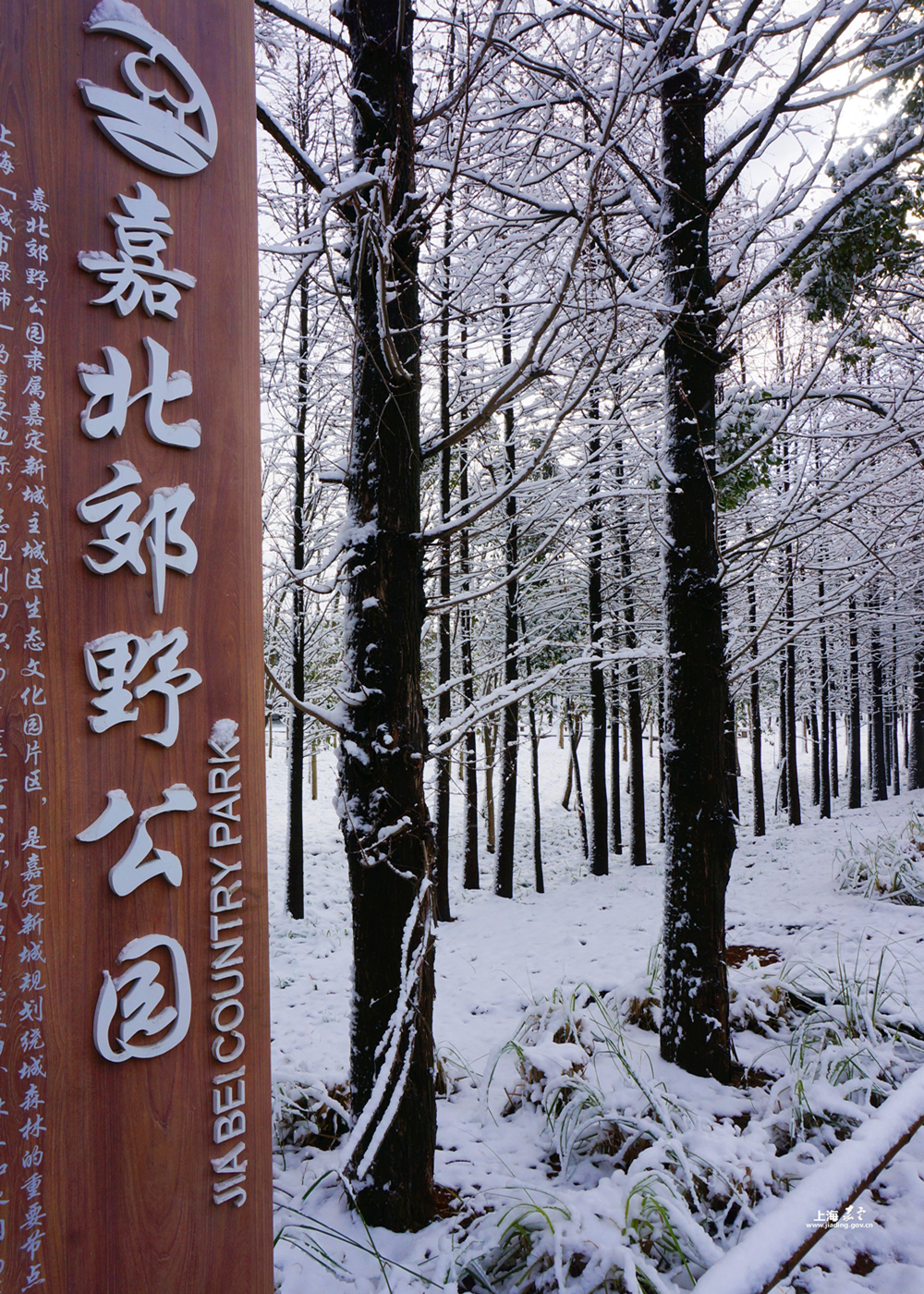 嘉北郊野公园