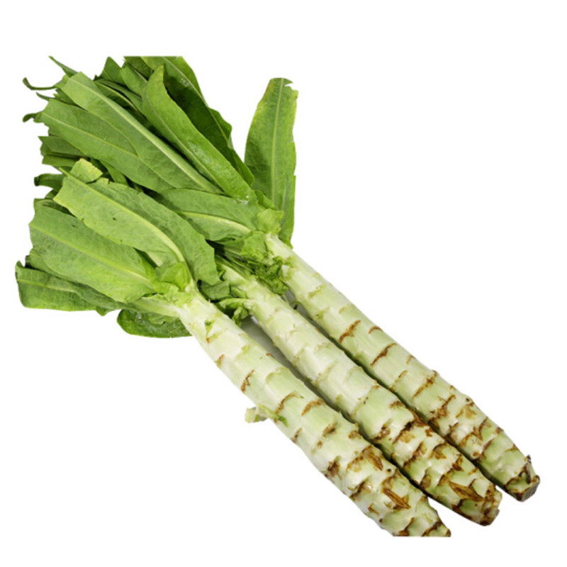 "gnwiupmsb8">青笋又名 a target="_blank" href="/item/莴苣/467144"