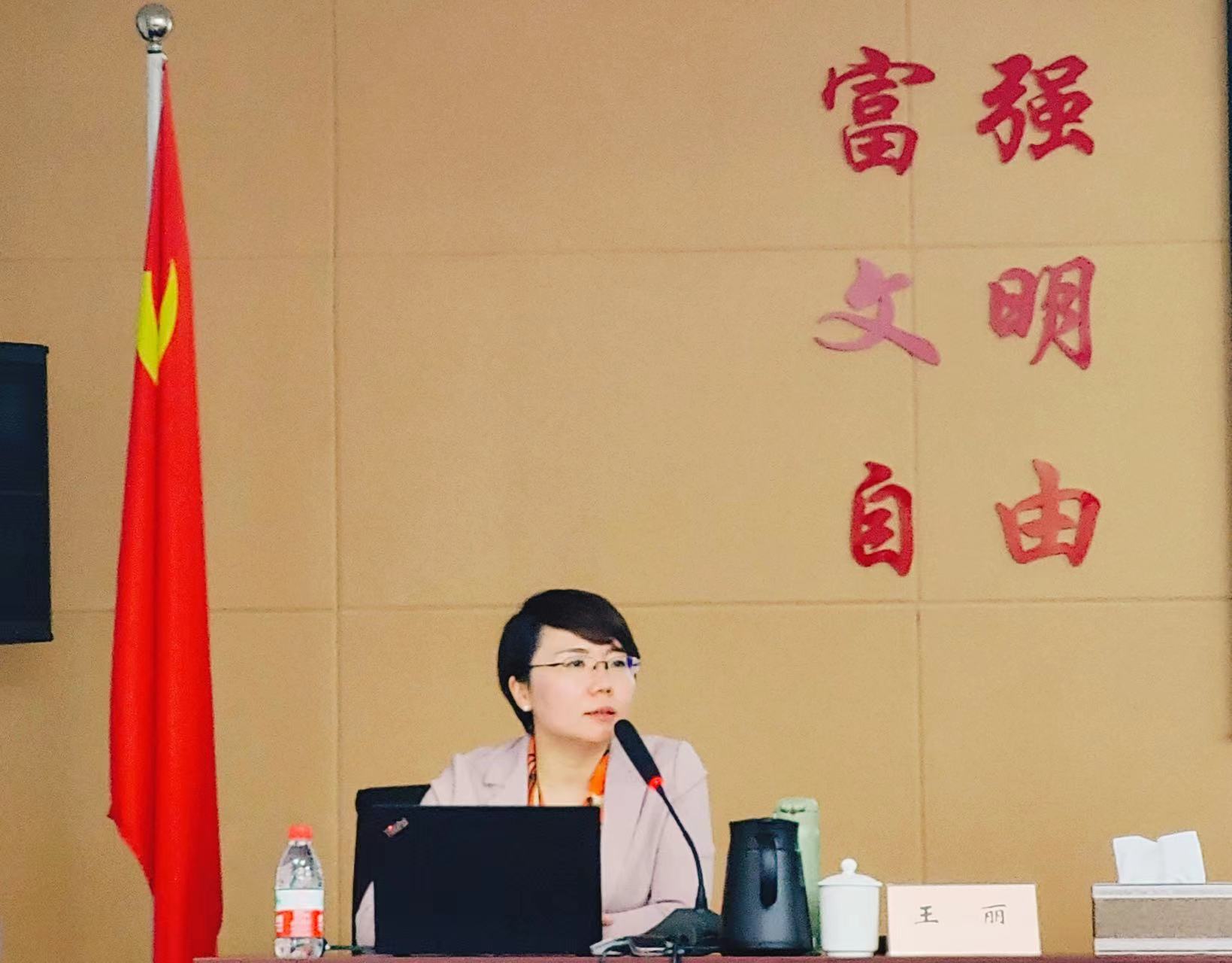 王丽