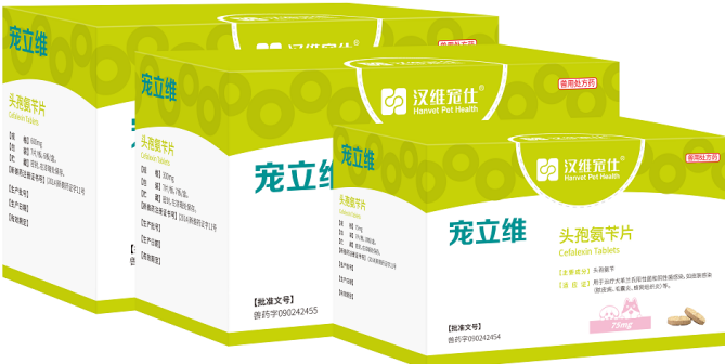 汉维宠仕_百度百科