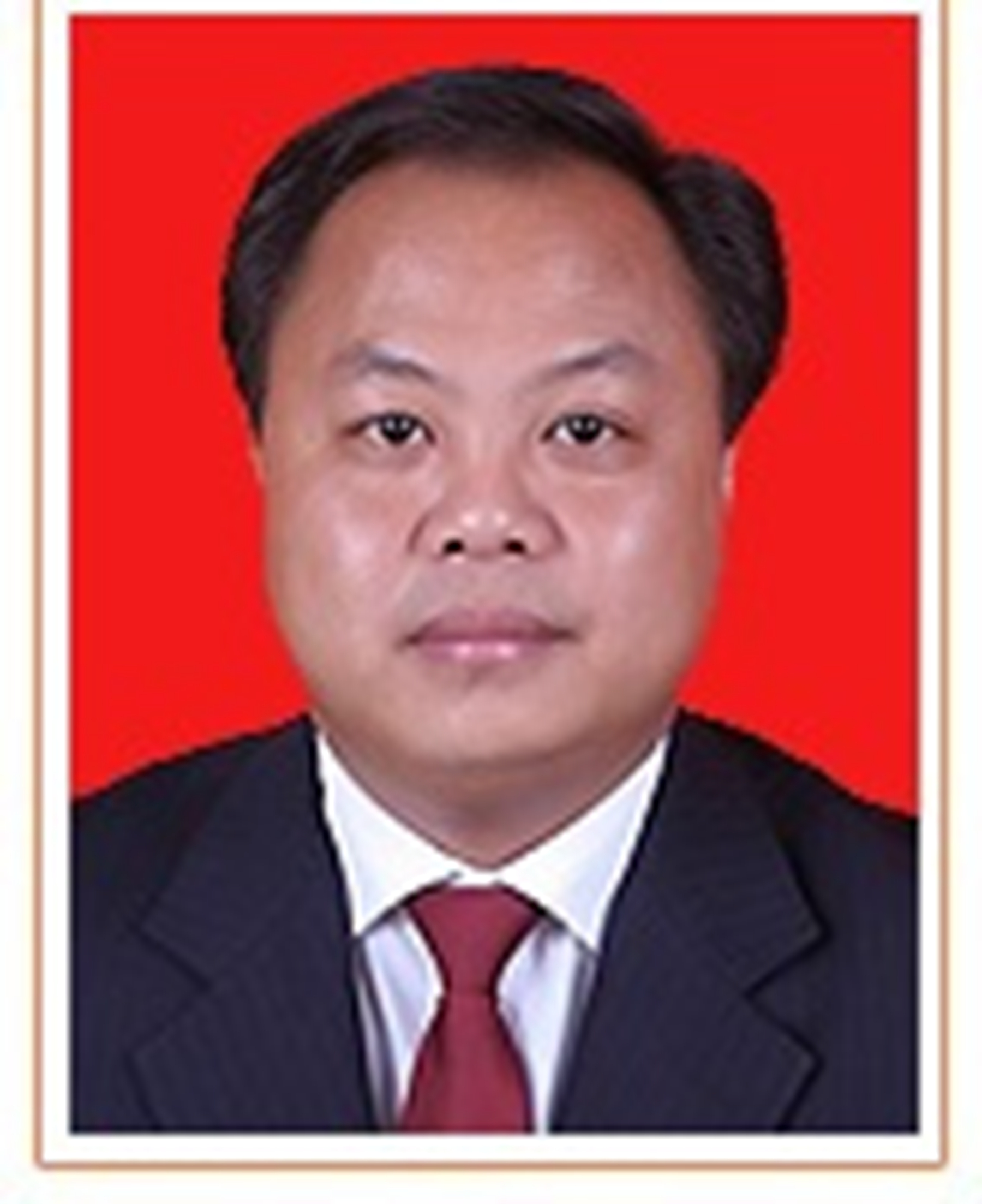  p>雷玉龙,男,1974年生,土家族,湖北巴东人,湖北省委党校在职研究生