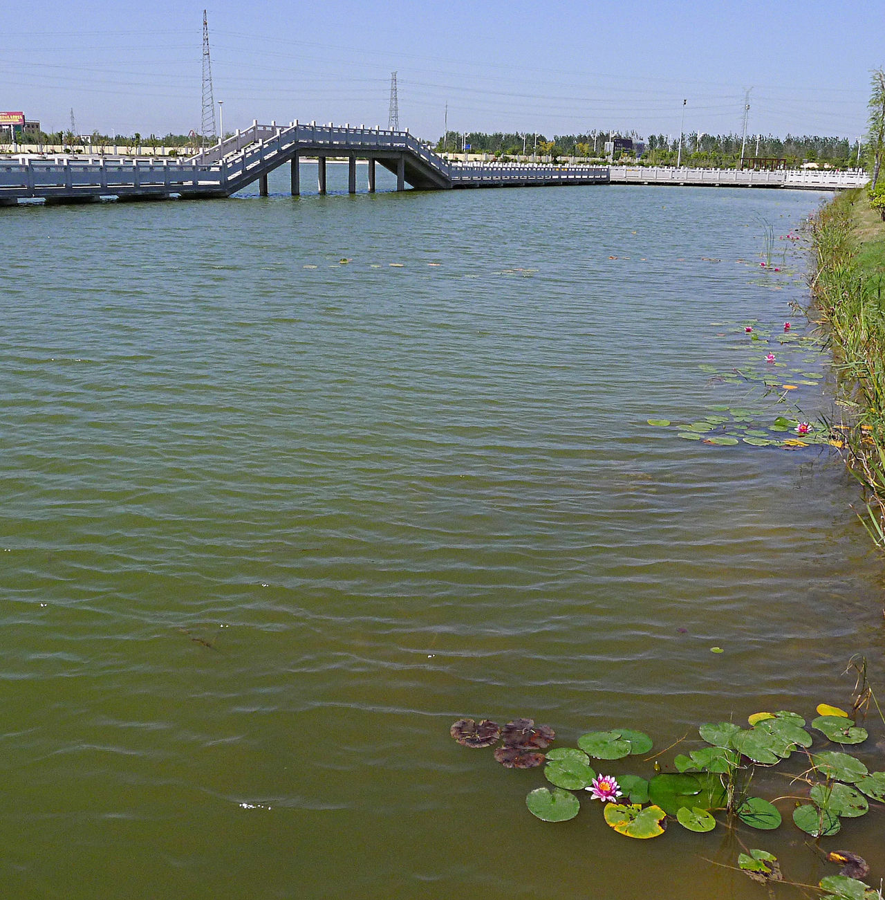 滨海县西湖公园