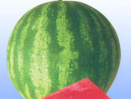 西瓜