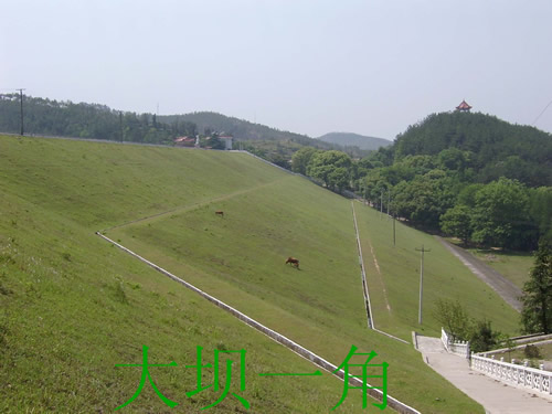  p>明山水库位于湖北省麻城市境内,属于白果河上的大(2)型水库.