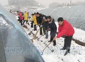 湖北省黄梅县杉木乡