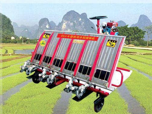 半机动水稻插秧机