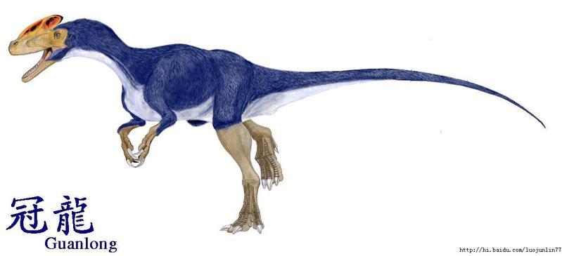 虚骨龙(coelurus)