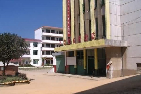  p>连城第三中学,公办中学.