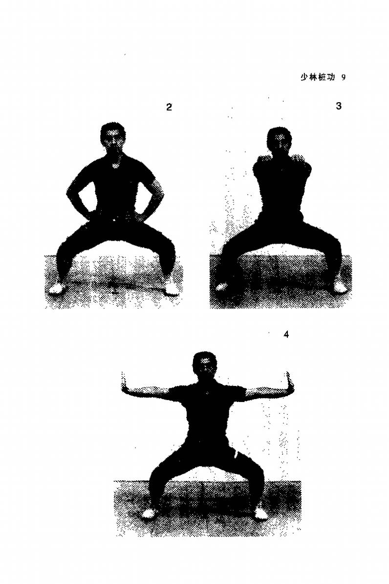  p>四平马步桩功,姿势低平,功架开展,强度较大.