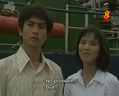 《潮州家族》(t,he teochew family)是新加坡电视机构(今新传媒私人