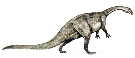 板龙(plateosaurus)