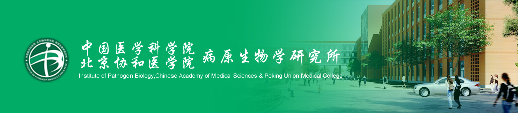 包含中國醫(yī)學(xué)科學(xué)院腫瘤醫(yī)院、通州區(qū)代掛專家號，快速辦理，節(jié)省時間的詞條