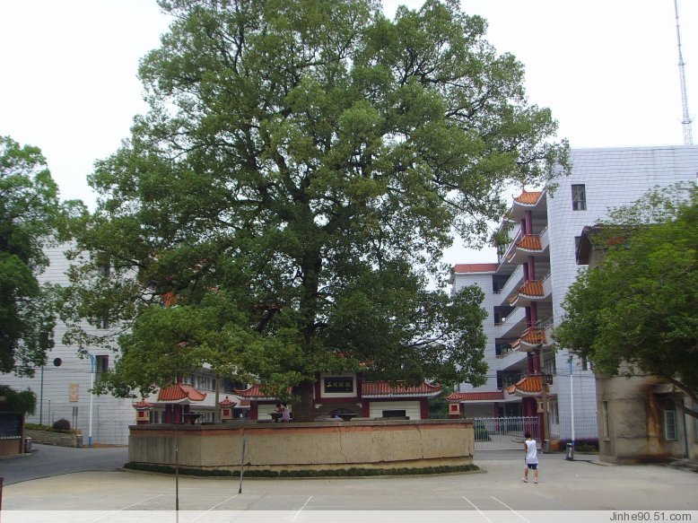 涟源市第一中学