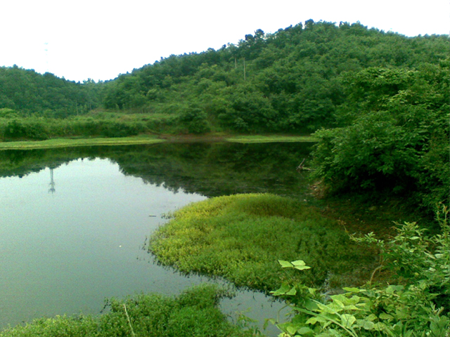 674平方公里的小岛,离舥艚港五公里远