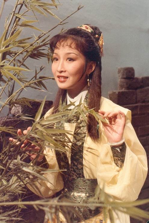 data-id="gnwff2wnu7">《龙仇凤血》是1980年11月上映的一部古装电视