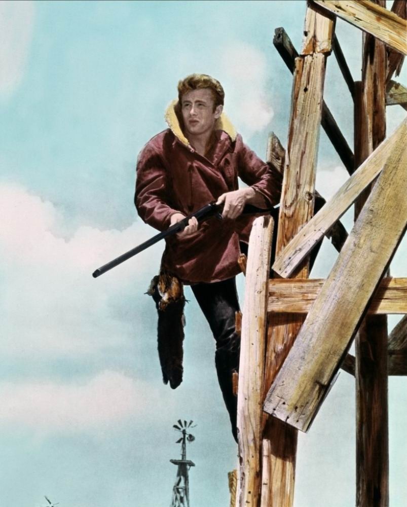 巨人传giant(1956)