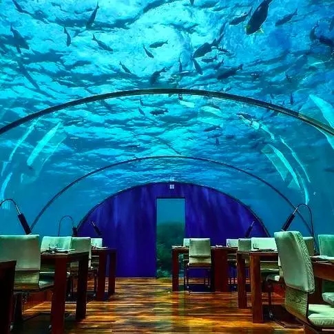  p>马尔代夫的海底餐厅位于希尔顿度假酒店(the conrad maldives