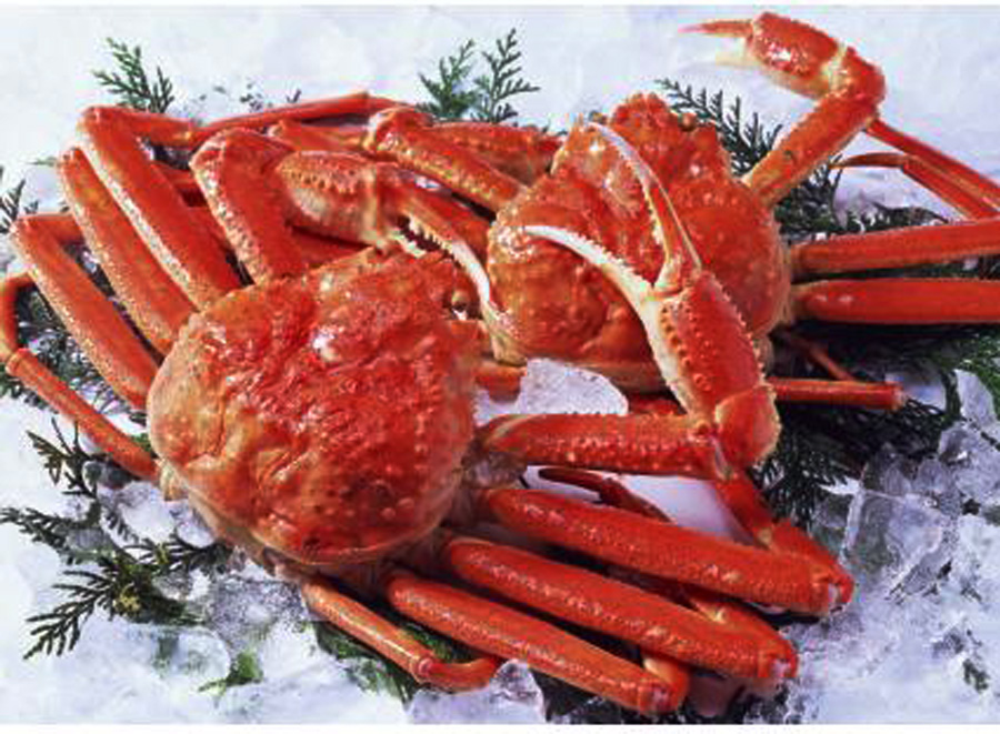  p>雪蟹:学名:灰眼雪蟹(科学命名):chionoecetes opilio, chionoece