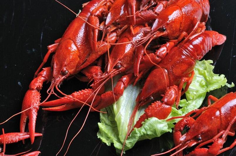生菜龙虾