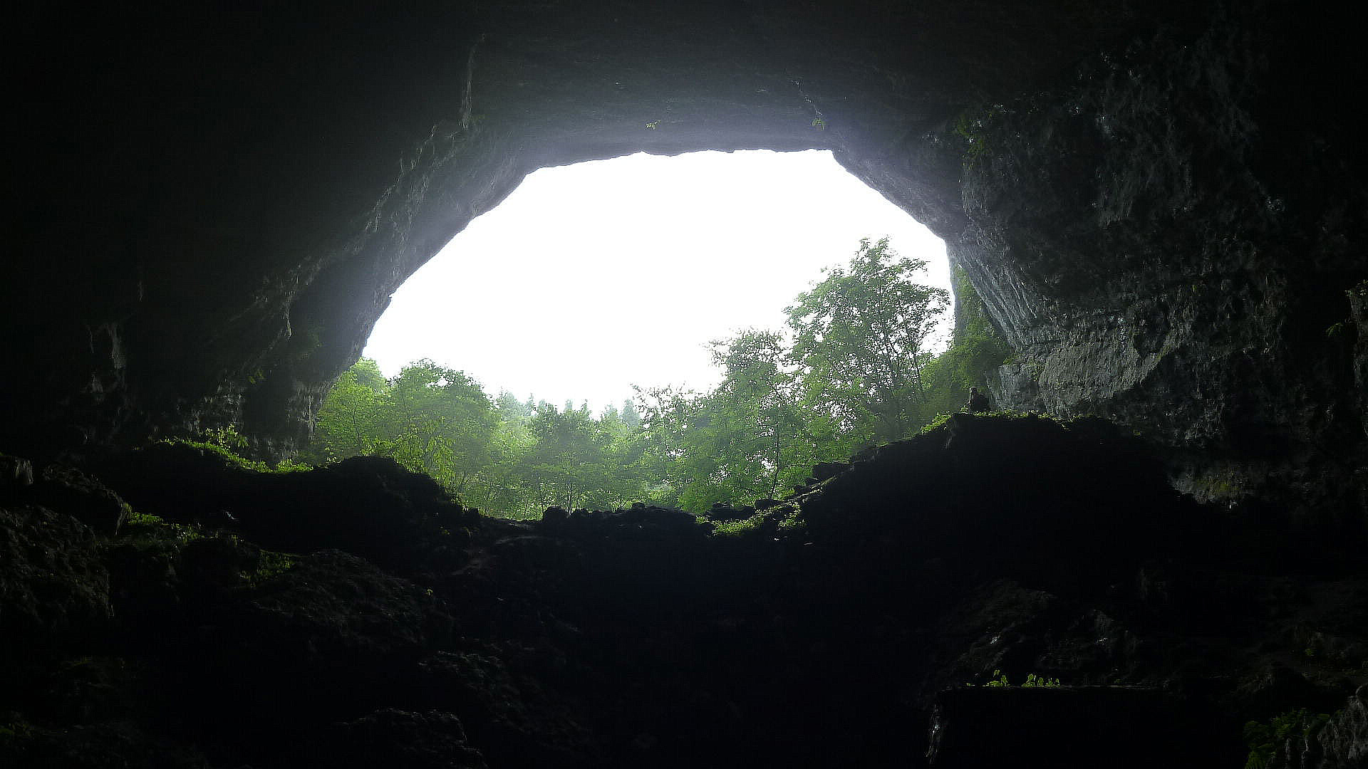 凉风垭省级森林公园位于 a target="_blank" href="/item/大娄山